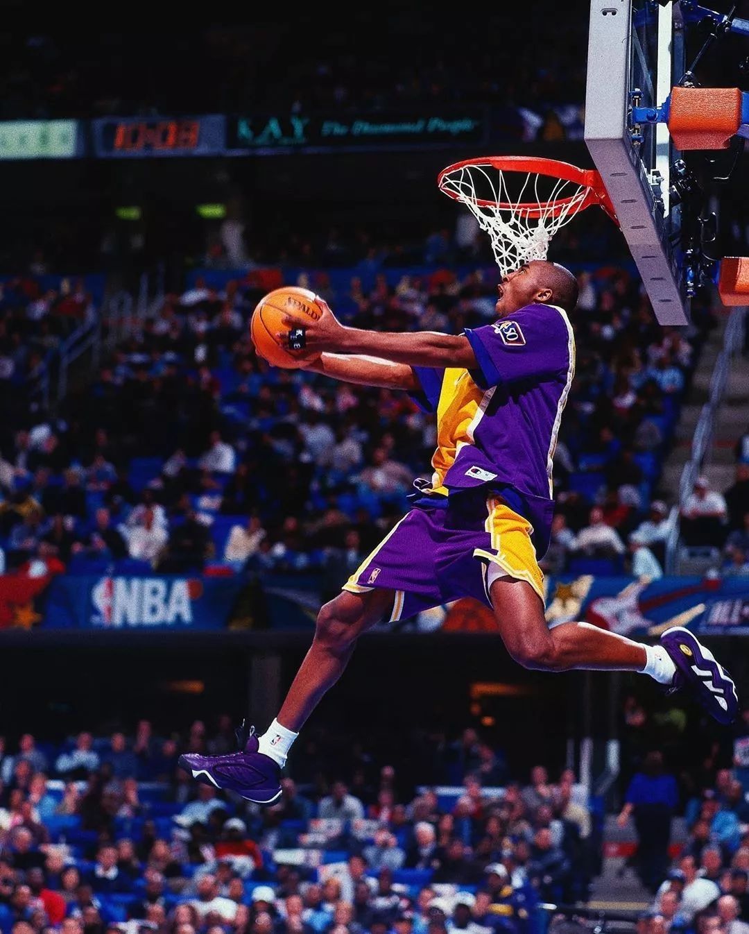 却充分体现 却充分体现